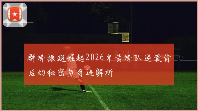 群蜂振翅崛起2026年黄蜂队逆袭背后的秘密与奇迹解析