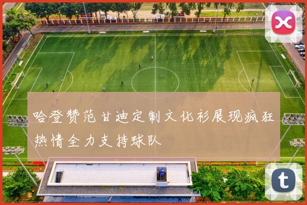 哈登赞范甘迪定制文化衫展现疯狂热情全力支持球队