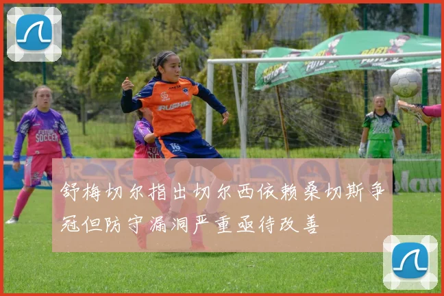 舒梅切尔指出切尔西依赖桑切斯争冠但防守漏洞严重亟待改善