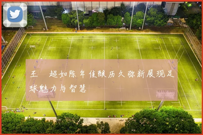 王燊超如陈年佳酿历久弥新展现足球魅力与智慧