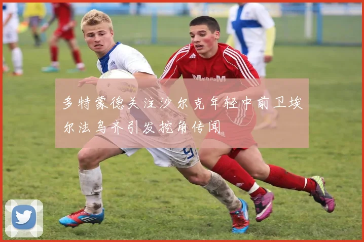 多特蒙德关注沙尔克年轻中前卫埃尔法乌齐引发挖角传闻