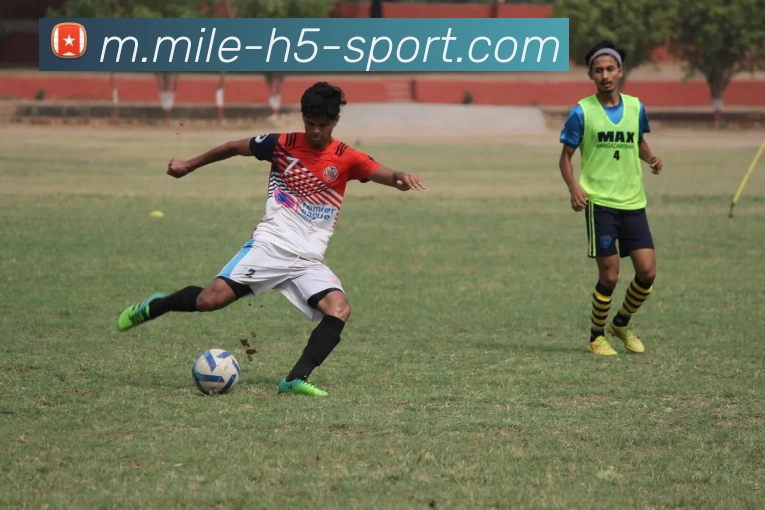 App Interface Preview