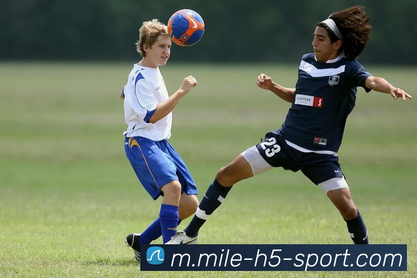 米乐体育APP 封面图